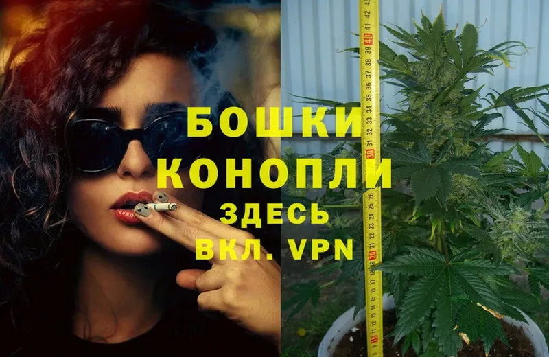 где купить   Кашира  Каннабис OG Kush 